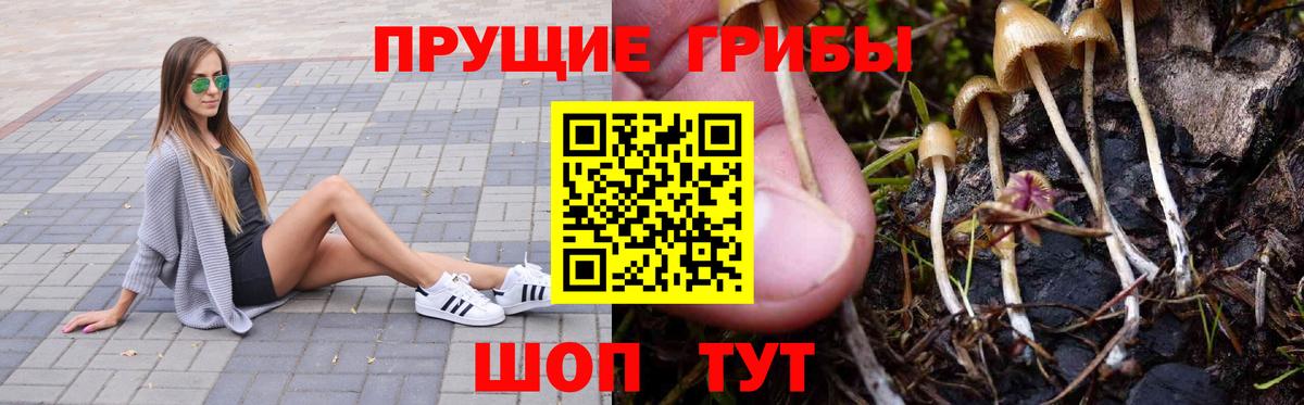 Псилоцибиновые грибы Psilocybine cubensis  Вход с VPN  Отрадный 